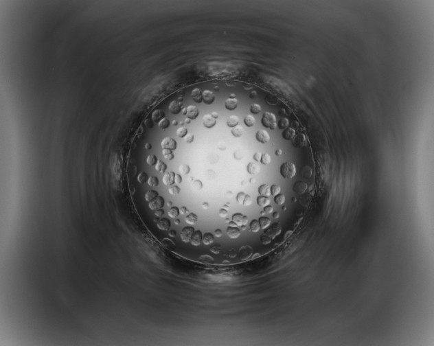 X0000087320667200704201111