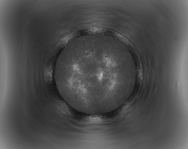 X0000087320668200704201111