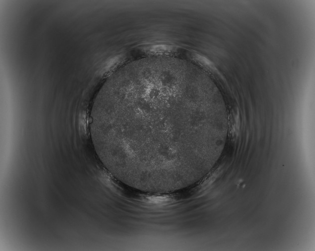 X0000087320669200704201111