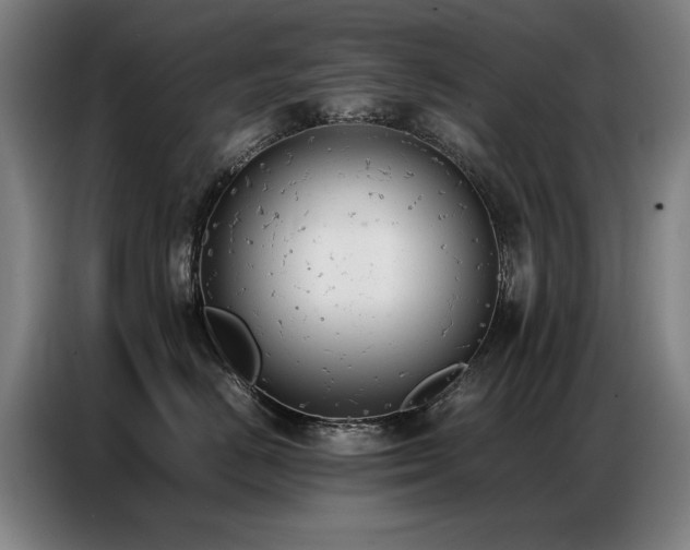 X0000087320670200704201111
