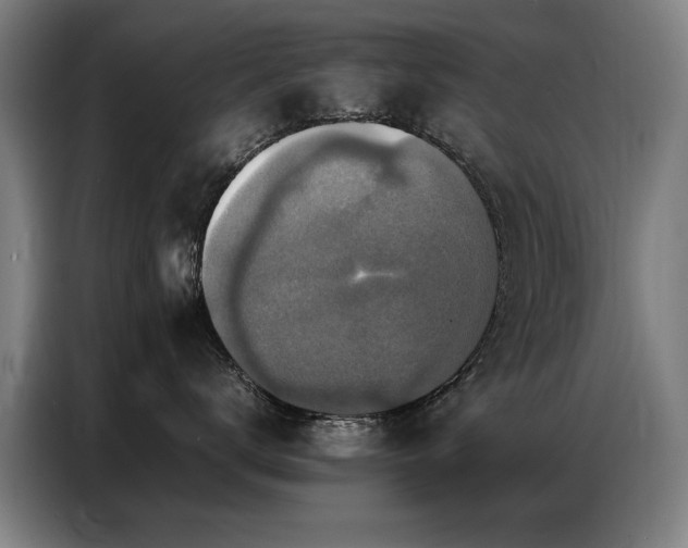 X0000087320672200704201111