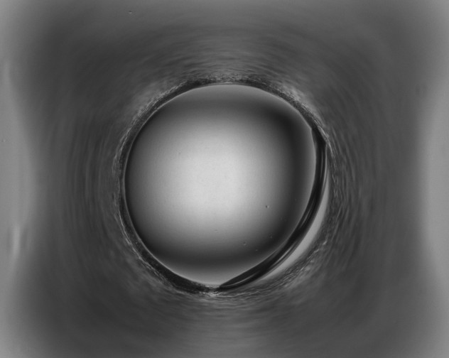 X0000087320673200704201111