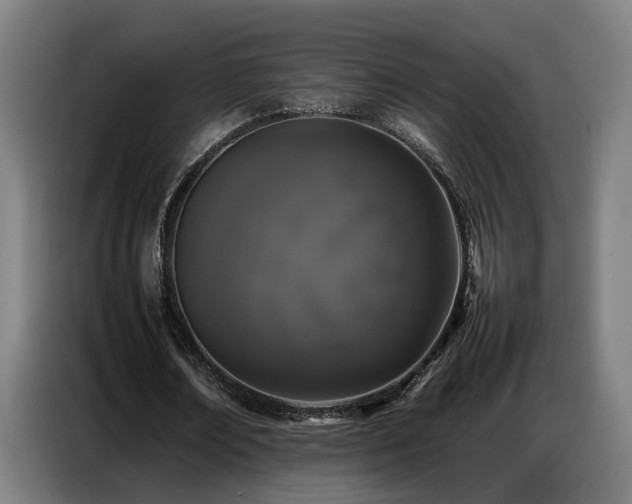 X0000087320674200704201111