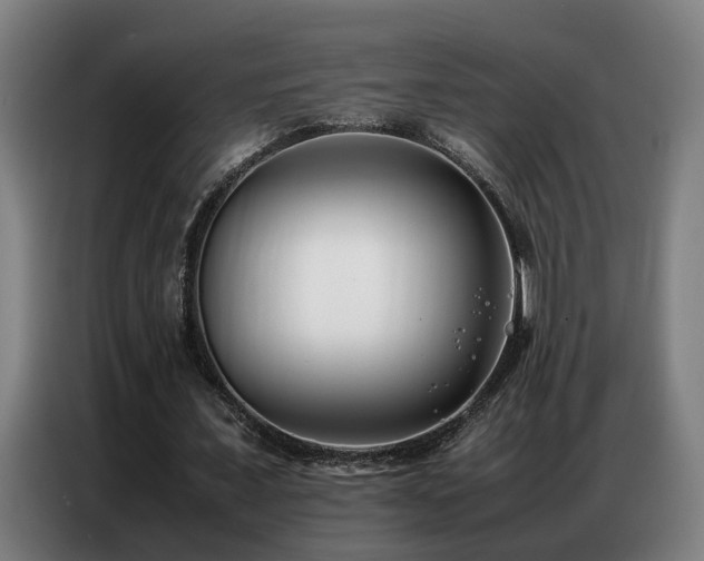 X0000087320675200704201111