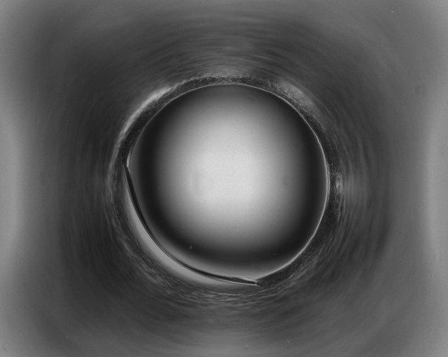 X0000087320676200704201111
