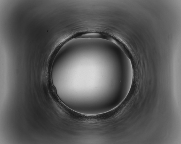 X0000087320677200704201111