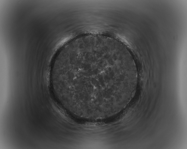 X0000087320679200704201111