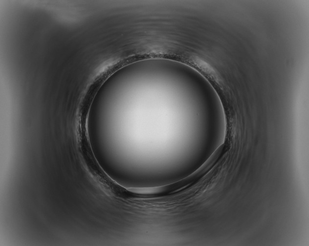 X0000087320680200704201111