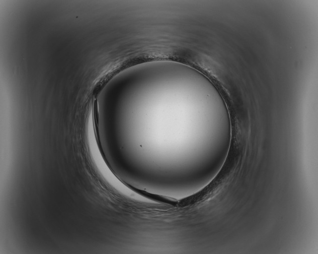 X0000087320681200704201111