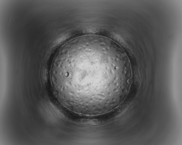 X0000087320683200704201111