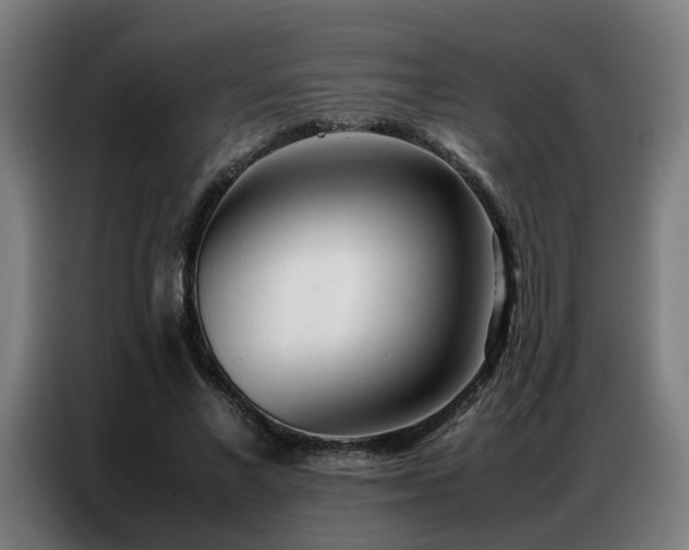 X0000087320685200704201110