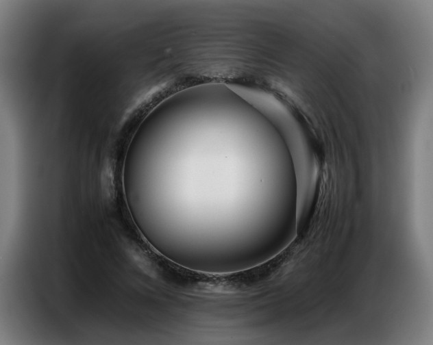 X0000087320688200704201110