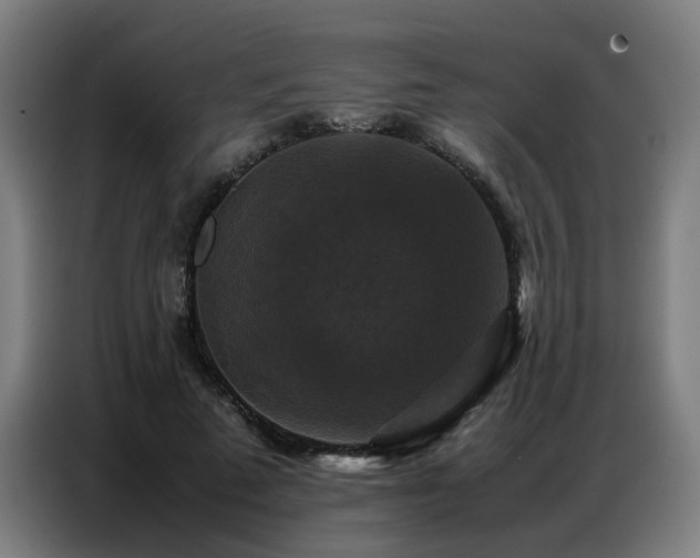 X0000087320689200704201110