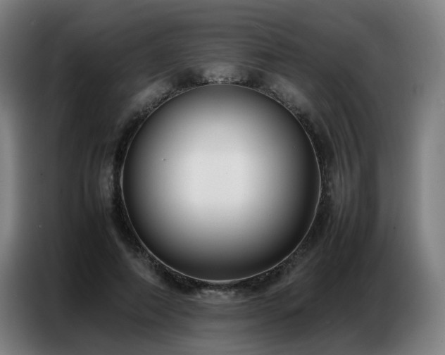 X0000087320690200704201110