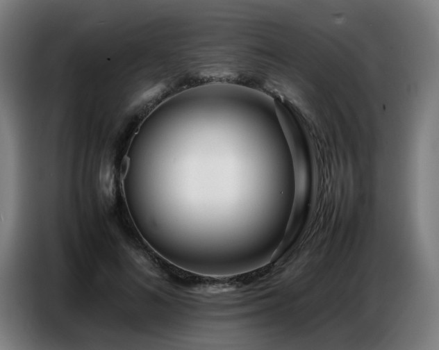 X0000087320692200704201110