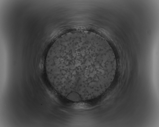 X0000087320695200704201110