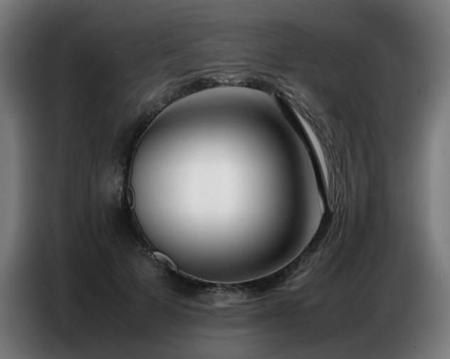 X0000087320697200704201110