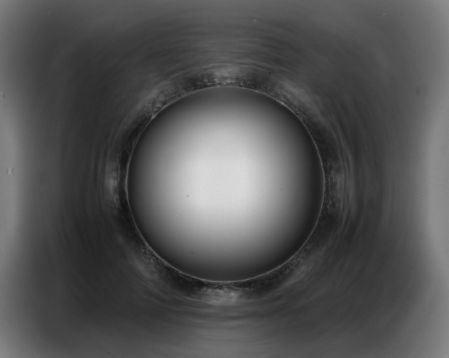 X0000087320698200704201110