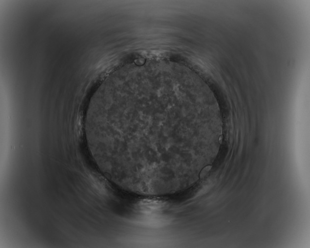 X0000087320699200704201110