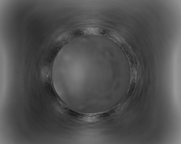 X0000087320701200704201110