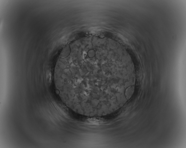 X0000087320703200704201110
