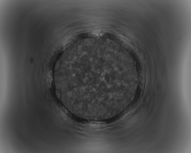 X0000087320707200704201110