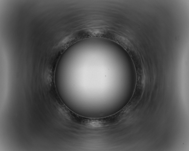 X0000087320710200704201110