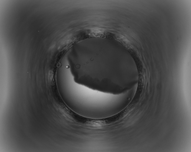 X0000087320711200704201110