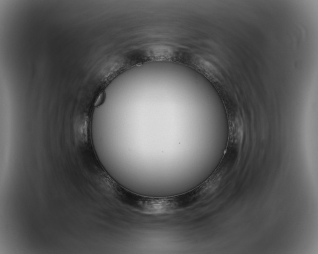 X0000087320717200704201110