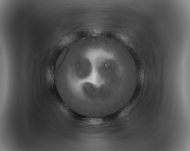 X0000087320719200704201110