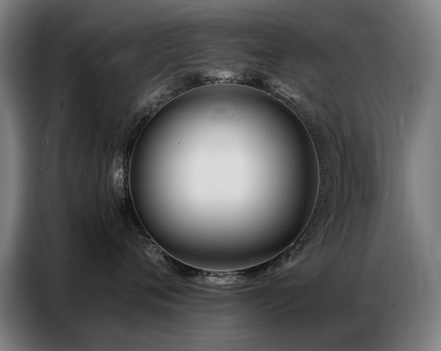 X0000087320720200704201110