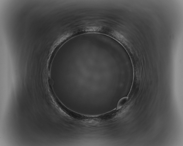 X0000087320721200704201110