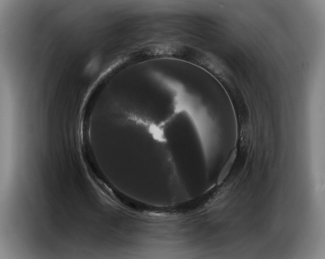 X0000087320722200704201110