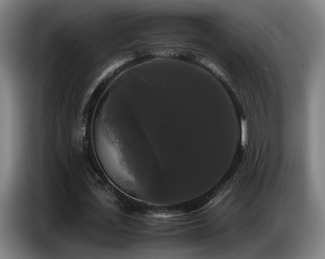 X0000087320723200704201110