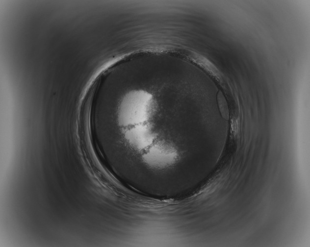 X0000087320724200704201110