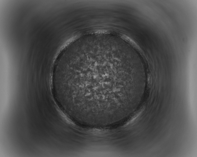 X0000087320725200704201110