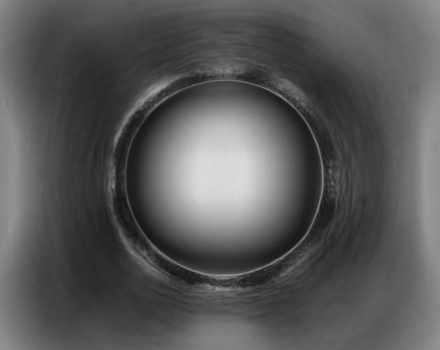 X0000087320726200704201110