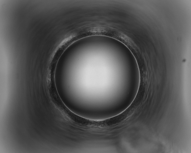 X0000087320727200704201110
