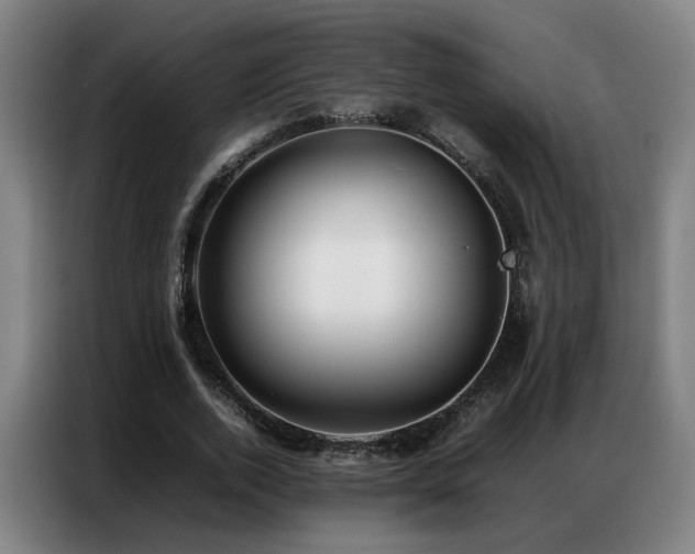 X0000087320728200704201110