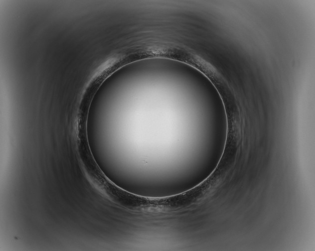 X0000087320730200704201110