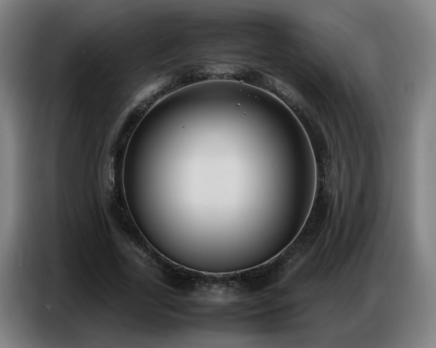 X0000087320731200704201110