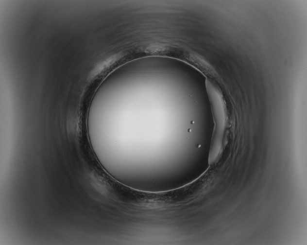X0000087320732200704201110