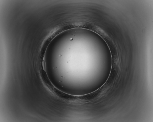 X0000087320734200704201110