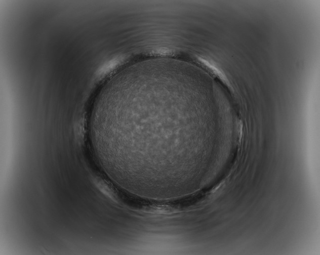 X0000087320736200704201110