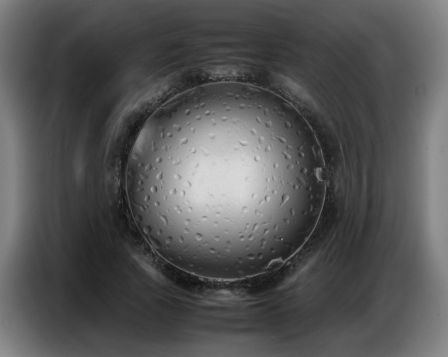 X0000087320737200704201110