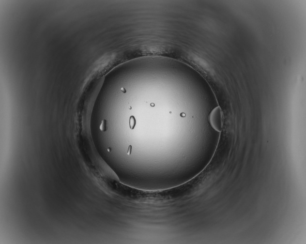 X0000087320738200704201110