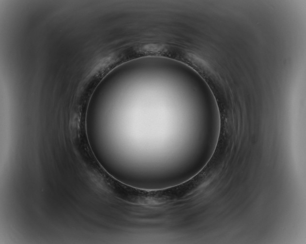 X0000087320739200704201110