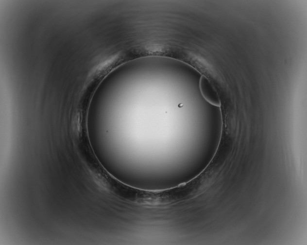 X0000087320740200704201110