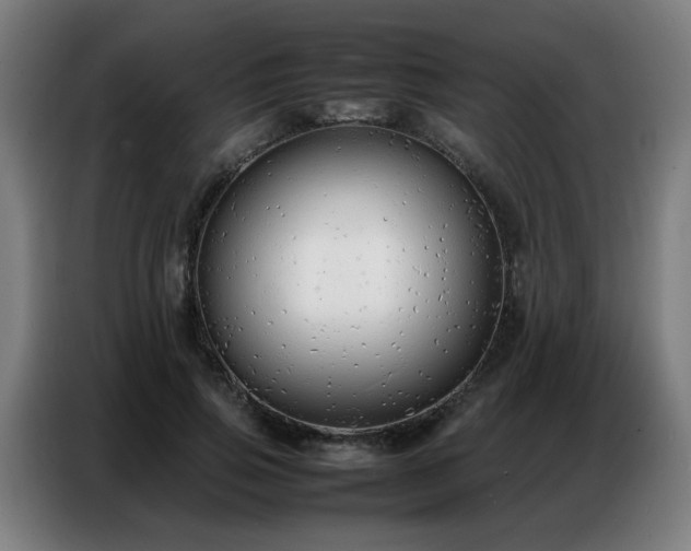 X0000087320741200704201110