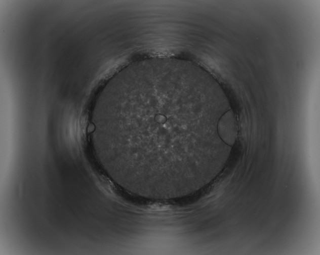 X0000087320742200704201110